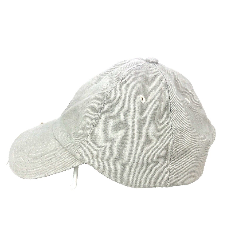 Tennessee Titans NFL Adjustable Hat Cap Embroidered Logo Vintage Clean Strapback - Picture 4 of 6